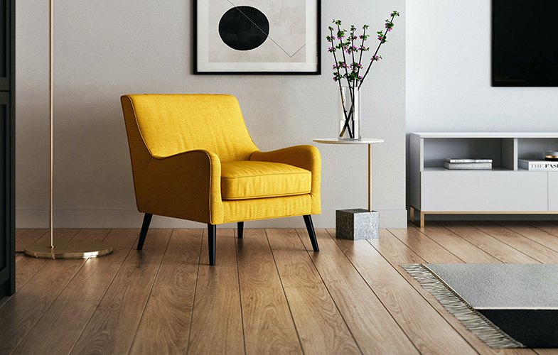 rent hem med robotdammsugare, elvita